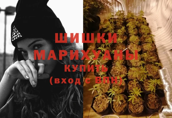 mdpv Козельск