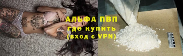 амф Козловка