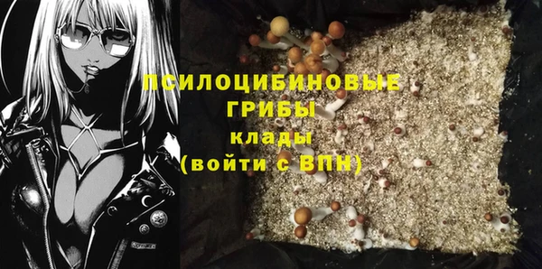mdpv Козельск