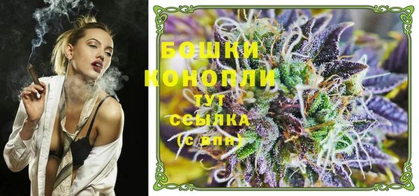 амф Козловка