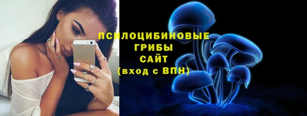 ешки Кодинск