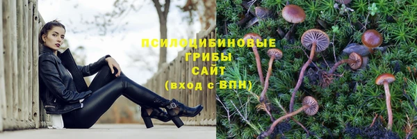 ешки Кодинск
