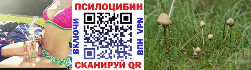 Галлюциногенные грибы мухоморы Берёзовский