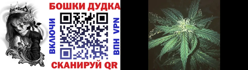 Купить где  Берёзовский  МАРИХУАНА план 